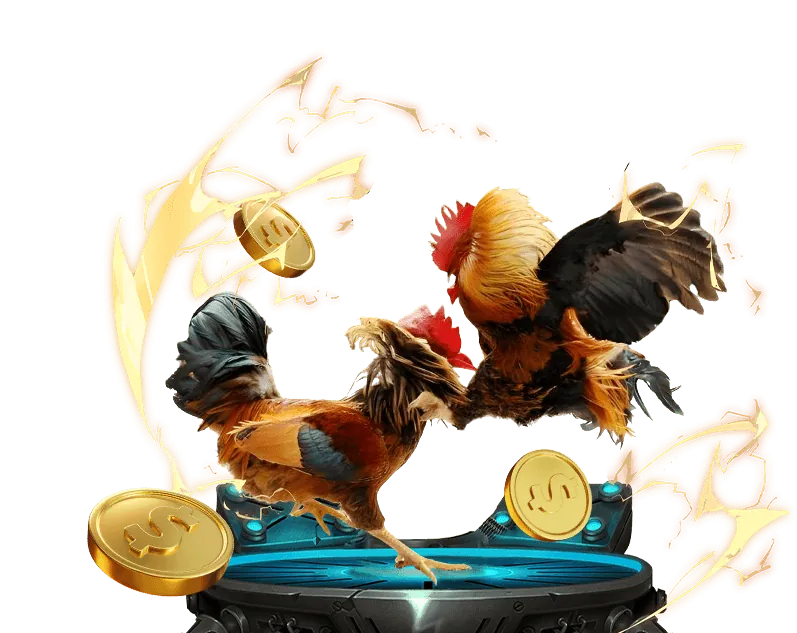 Hoàn trả hàng ngày Kèo Nhà Cái 5